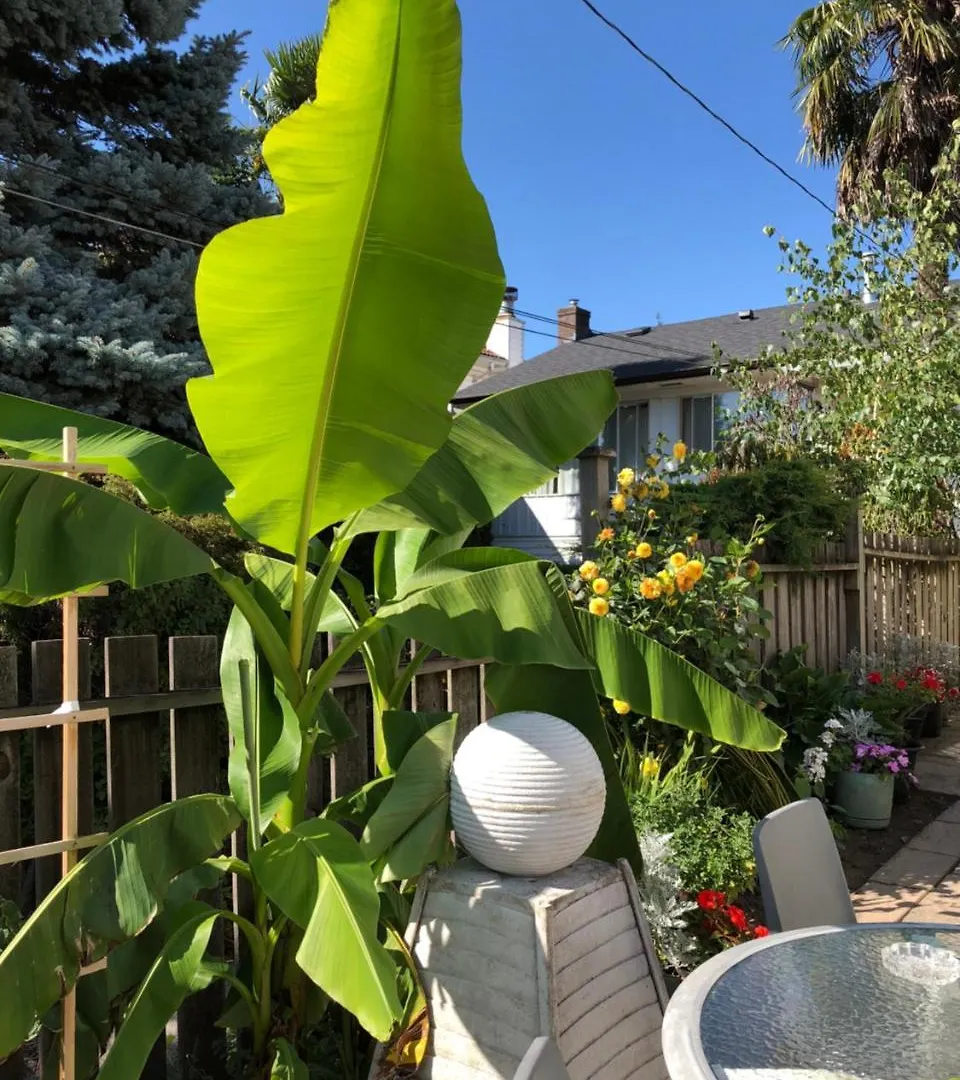 Cozy Bedrooms Guest House Vancouver 3*,
